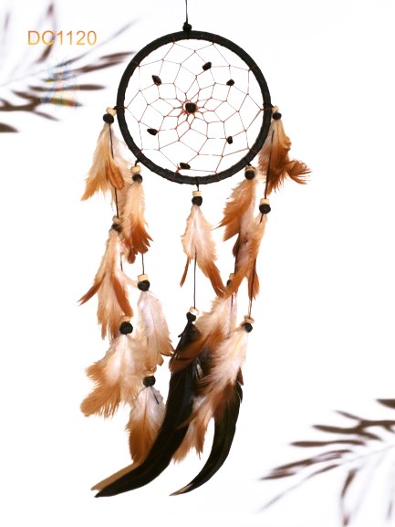 Dreamcatcher #1120