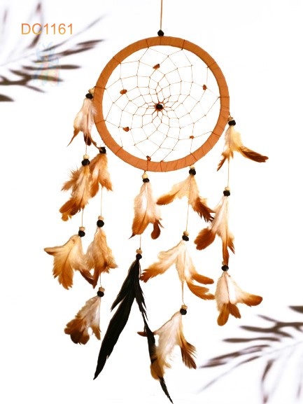 Dreamcatcher #1161