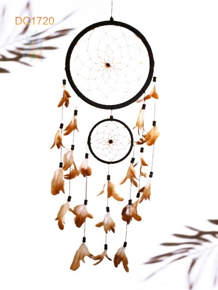 Dreamcatcher #1720