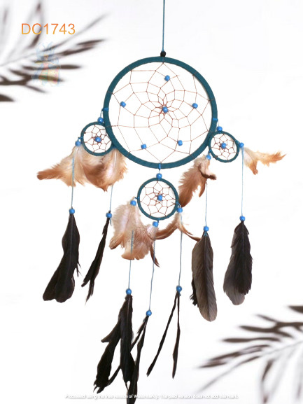 Dreamcatcher #1743