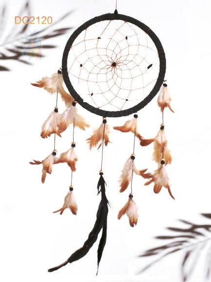 Dreamcatcher #2120