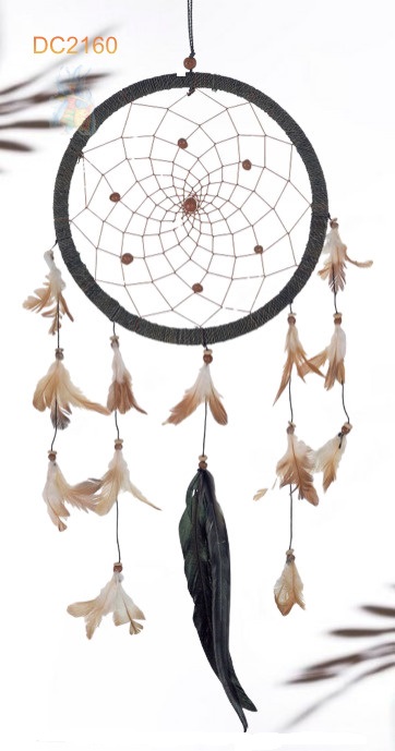 Dreamcatcher #2160