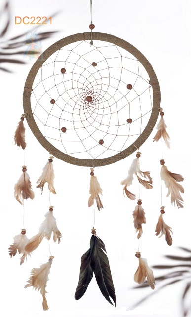 Dreamcatcher #2221