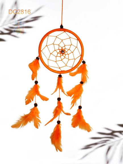 Dreamcatcher #2816